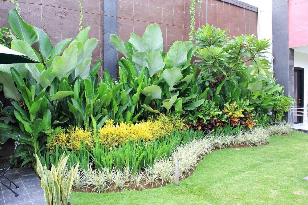 Budhi Taman liburan